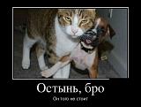 Смеяться! - Часть 2-demotivatory_08.jpg