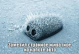 ЮМОР - Часть 2-f_101048.jpg