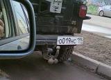 Смеяться! - Часть 2-92d5343d63ea02d3956df35f270dce10.jpg