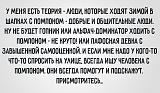 Смеяться! - Часть 2-hpf2w5y3otk.jpg