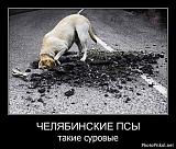 Смеяться! - Часть 2-a6b646dcfdf491284a33921e2008b321.jpg