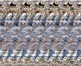 Это может быть интересно - Часть 3-img_0766.jpg