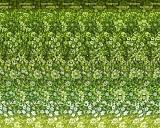 Это может быть интересно - Часть 3-img_0768.jpg