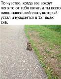 Смеяться! - Часть 2-img_1177.jpg