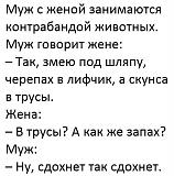 Смеяться! - Часть 2-img_1231.jpg