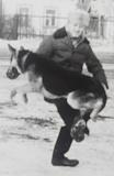 Международная политика.-oi-dqzvjt20.jpg