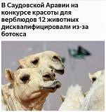 Смеяться! - Часть 2-20-47-55-12-03-2019.jpg