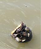 Это может быть интересно - Часть 3-img_20190504_221023.jpg