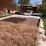 Дача, сад, огород своими руками!-img_20190518_133028.jpg