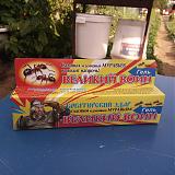 Дача, сад, огород своими руками!-img_20190725_165520.jpg