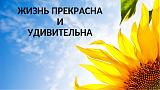 Трактир"У Ксюши"- излей душу! - Часть 4-zhizn.....jpg