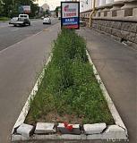 Международная политика.-2020-06-19_19-15-22.jpg