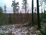 Международная политика.-23102019-005-.jpg