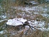 Международная политика.-23102019-006-.jpg