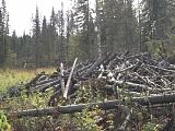 Международная политика.-dscf3595.jpg