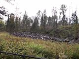 Международная политика.-dscf3597.jpg