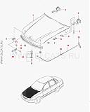 флудилка кунсткамеры-imagehandler.ashx.jpg