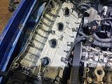 кунсткамера от Алекса04-4vwpevpi370.jpg