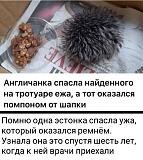 Ржач-izobrazhenie_2024-03-30_102712882.jpg