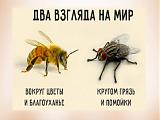 Ассоциации - Часть 8-muhapchela.jpg