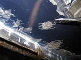 Антикор-img_9104.jpg