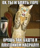 СМЕХ СКВОЗЬ СЛЕЗЫ....-getimage.jpg