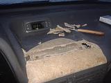 Бешенный лягушЁнок-2012-12-08-09.59.37.jpg