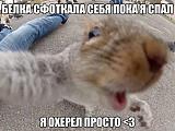 СМЕХ СКВОЗЬ СЛЕЗЫ....-1.jpg