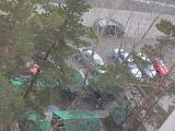 Встречи клуба-dscn5320.jpg