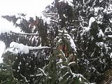 Путешествие в Великий Устюг-2013-01-04-14.40.02.jpg