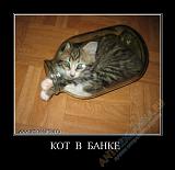 Встреча Клубней в городе-detail_0_1be9b_1000ef46_xl.jpg