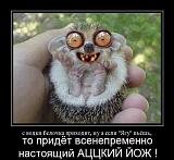 Посмеёмся...?-7w9n-qqhzou.jpg