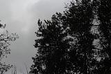 Встречи клуба-img_2565.jpg