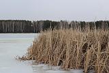 Встречи клуба-img_2573.jpg